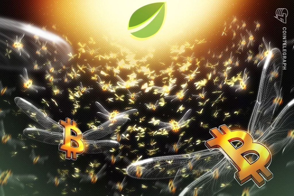 تصل صفقات شراء البيتكوين إلى أعلى مستوى لها منذ عامين في Bitfinex: صعودي أم هبوطي؟