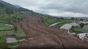 فيديو. انهيار أرضي في إندونيسيا يقتل ما لا يقل عن 17 وأكثر من 70 في عداد المفقودين