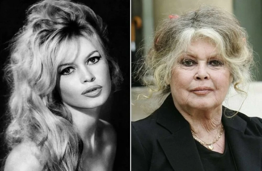 دفنت في مقبرة بحرية.. ما سبب وفاة الأيقونة الفرنسية بريجيت باردو؟ – أخبار السعودية