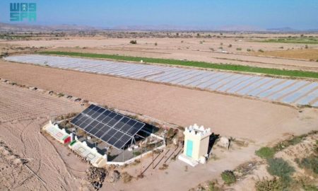 مشاريع سعودية تنموية في أبين لتعزيز الصحة والتعليم والمياه