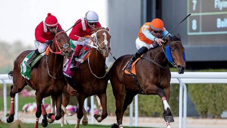 نادي سباقات الخيل يعلن أسماء المشاركين في تحدّي الخيّالة العالمي 2026