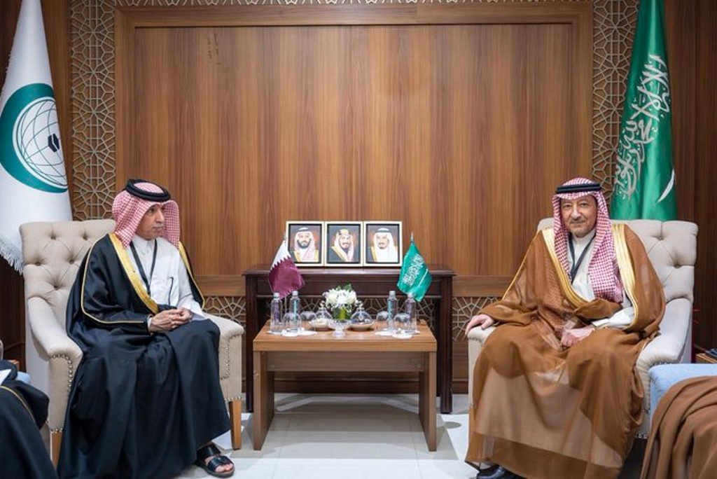 نائب وزير الخارجية يلتقي وزراء خارجية قطر وفلسطين وباكستان