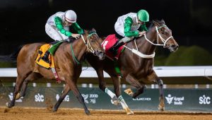 نادي سباقات الخيل ينظم منافسات الأسبوع الخامس عشر من موسم سباقات الرياض