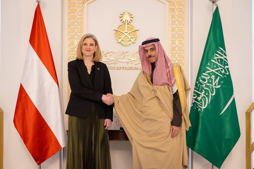 وزير الخارجية يبحث التعاون الثنائي مع نظيرته النمساوية