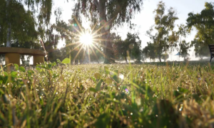 طقس السعودية: انخفاض حاد في الحرارة وتحذيرات من الصقيع