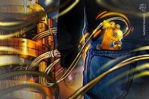 هل محافظ البيتكوين المقاومة للكم هي تأمين أم ضريبة خوف؟