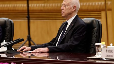 بعد الأضرار الكبيرة.. الرئيس التونسي يربط بين حشرة القرمز وعقود من الفساد في تفسير الفيضانات