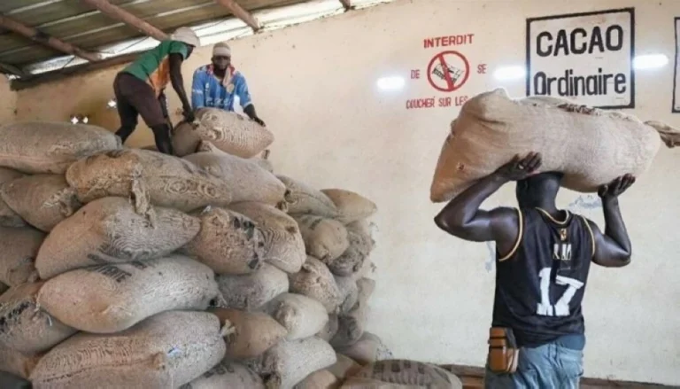 هوت 10 %.. أسعار الكاكاو لأدنى مستوى – أخبار السعودية