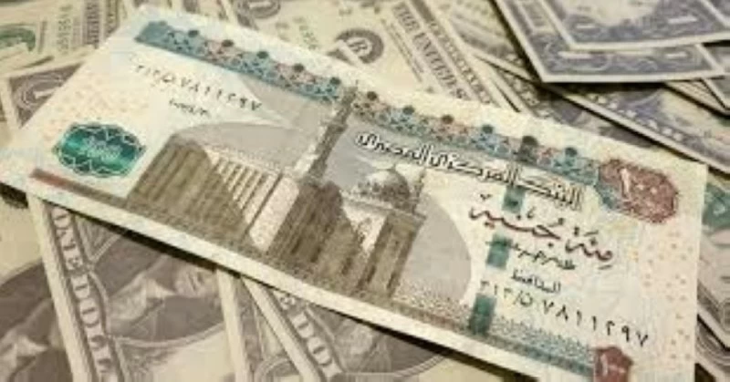 12.55 جنيه متوسط سعر الريال السعودي في مصر – أخبار السعودية