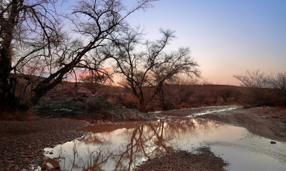 الأرصاد: أمطار على المرتفعات وضباب وغبار بعدة مناطق