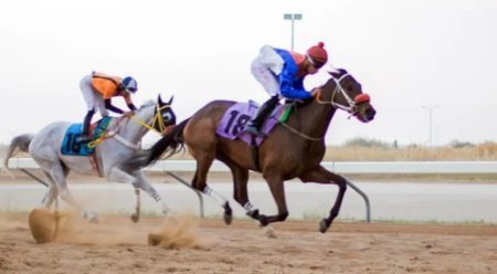 ميدان فروسية الأحساء يقيم سباقه الرابع عشر