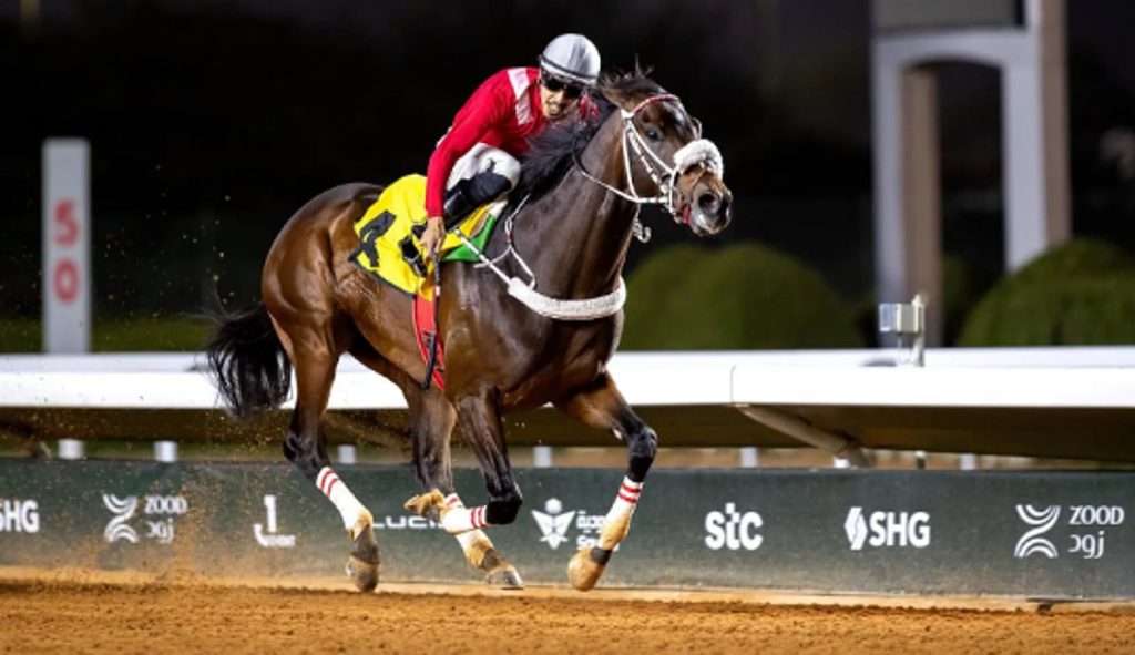 اختتام منافسات الأسبوع 16 من موسم سباقات الرياض استعدادًا لكأس السعودية 2026