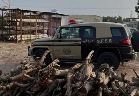 "الأمن البيئي" يضبط مخالفًا لنظام البيئة لاستغلاله الرواسب في منطقة المدينة المنورة