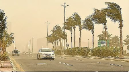 «الأرصاد»: أتربة مثارة في 3 مناطق