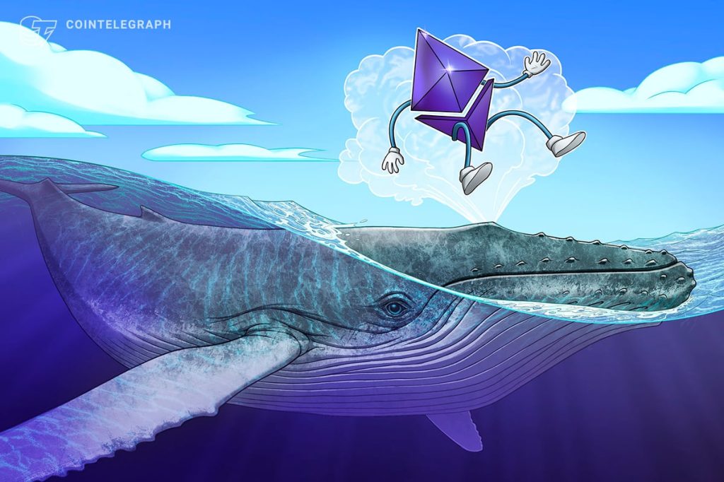 تعيد Ethereum OG Whale بناء مكدس ETH بقيمة 19.5 مليون دولار وسط نزيف صناديق الاستثمار المتداولة