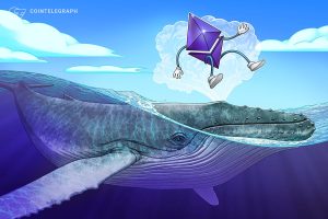 تعيد Ethereum OG Whale بناء مكدس ETH بقيمة 19.5 مليون دولار وسط نزيف صناديق الاستثمار المتداولة