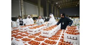 وزير التجارة: من المتوقع وصول حجم الإنتاج المحلي من الطماطم إلى 350 طناً يومياً