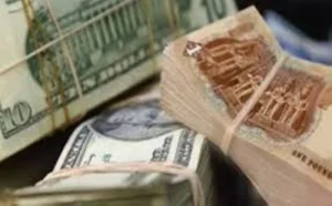 مصر: الدولار يصعد فوق 50 جنيهاً – أخبار السعودية
