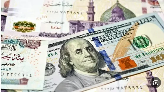 كم بلغ ارتفاع «الأخضر» في مصر ؟ – أخبار السعودية