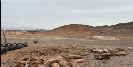 ضبط مواطن مخالف لتخزينه حطبًا محليًا بمحمية الأمير محمد بن سلمان الملكية