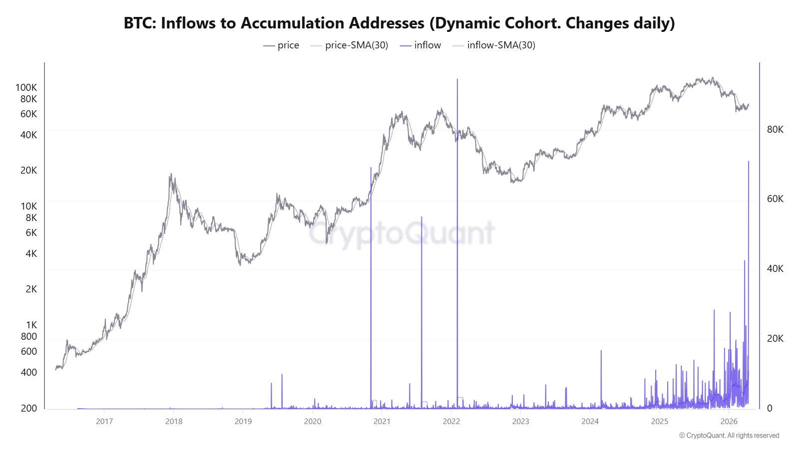 العملات المشفرة، سعر البيتكوين، التبني، الأسواق، تبادل العملات المشفرة، باينانس، تحليل الأسعار، تحليل السوق، السيولة، الحوت