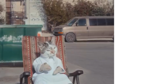 استدعاء بودكاست قطو الشوارع وإيقاف ترخيص الشركة المنتجة