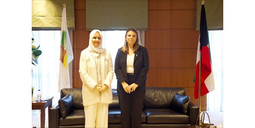 وزيرة التنمية والاستدامة بحثت مع ممثل برنامج الأمم المتحدة الإنمائي تعزيز أنظمة المرونة الوطنية من خلال تطوير أنظمة الإنذار المبكر