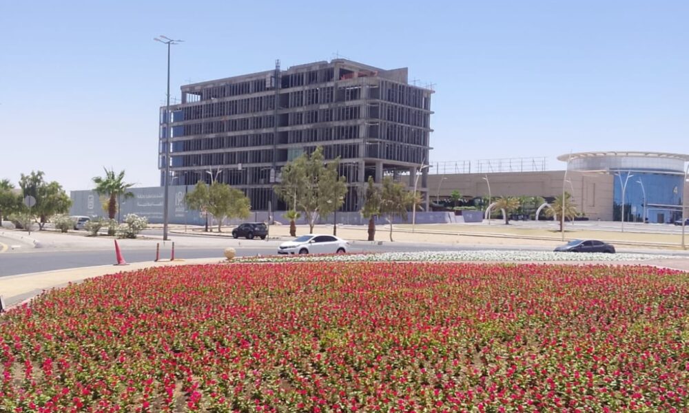 زراعة مليون وردة تعزز المشهد الحضري في الحدود الشمالية