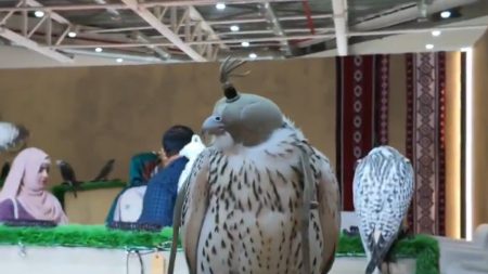 منتج: مزاد مزارع إنتاج الصقور يشهد تطورا مستمرا ووضعنا أسعارا تنافسية لدعم صقاري المستقبل
