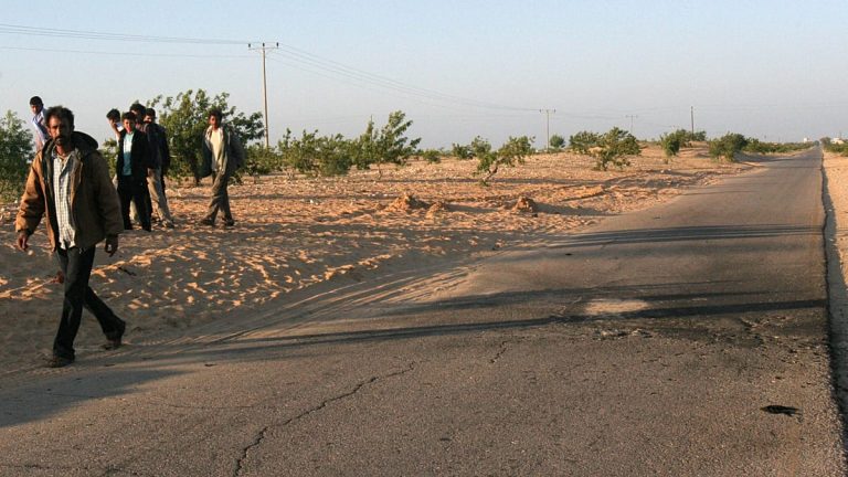 حافلة تقل 43 شخصاً تنقلب في جنوب سيناء.. 16 قتيلاً وعشرات المصابين