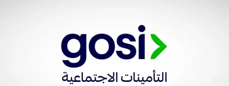 «التأمينات»: منتج للادخار الاختياري.. وإتاحة الجمعيات لفئات إضافية – أخبار السعودية