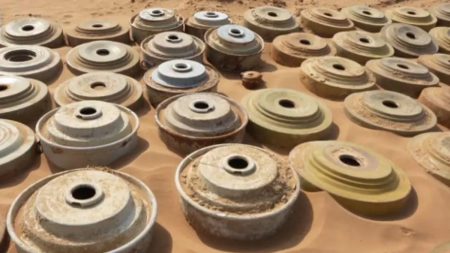 مشروع «مسام» ينزع 1,277 لغمًا من مختلف الأراضي اليمنية في أسبوع
