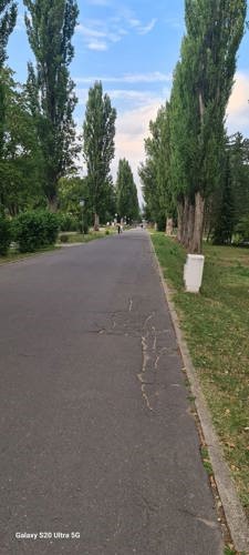 وصف الصورة