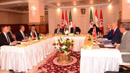 بيان ثلاثي «مصري _ جزائري _ تونسي»: ندعم الجهود الأممية والدولية لتيسير العملية السياسية في ليبيا