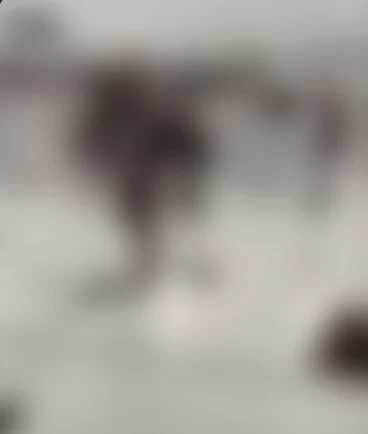 تفاصيل القبض على شخص في مكة أثار الهلع والذعر بين المارة
