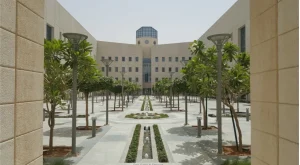 تنظيم صندوق التعليم العالي لتمويل واستثمار الجامعات